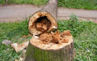 Деревянная обрешетка под гипсокартон