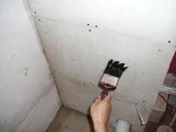 Грунтуем стены